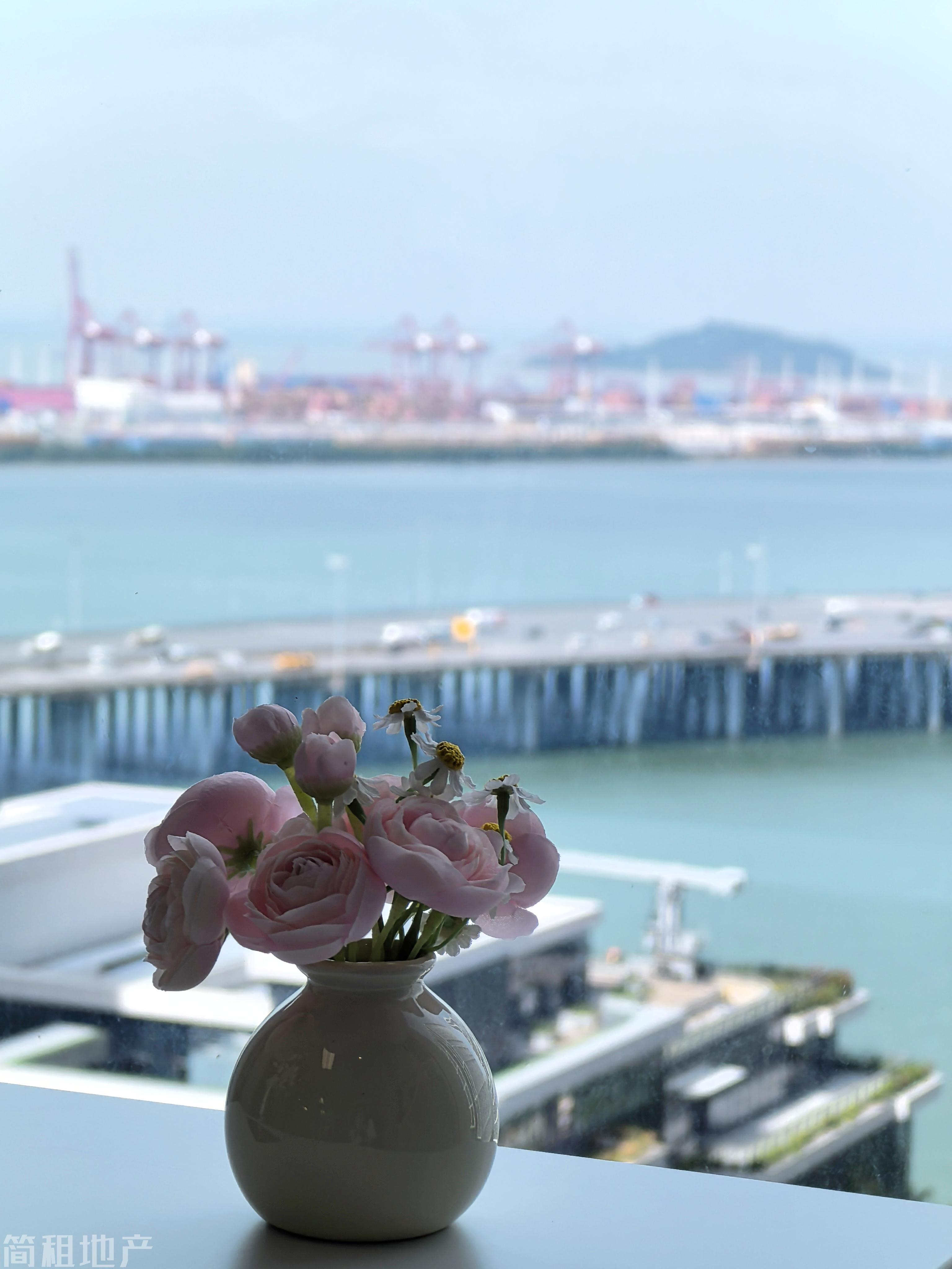 看海景 电梯口 双面采光 全套家具 前海嘉里中心 环境好 